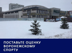 BMW за медаль в Рио, крах воронежского «Бурана» и проблемы в детском спорте: Итоги 2016 года 