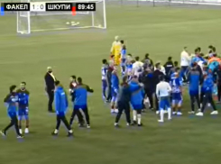 Опубликовано видео массовой драки с участием футболистов воронежского «Факела»