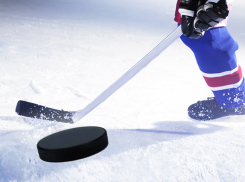 В новый сезон воронежский «Буран» заявил много московских «динамовцев»