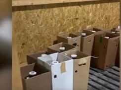 Воронежская «банда» перевозила под видом кваса незаконное пиво