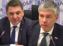 В праймериз «Единой России» примут участие депутаты Госдумы из Воронежской области