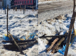 В водоканале дали разъяснения по ситуации с люком, в который упал воронежец