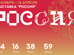 Космическую сумму хотят потратить на участие Воронежской области в международной выставке 
