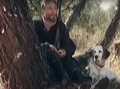 Премьера фильма «Белый Бим Черное ухо» по произведению воронежца Троепольского состоялась 48 лет назад