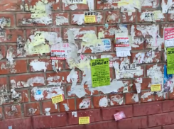 В грязь и рекламу «закапывают» репутацию Машмета жители Воронежа