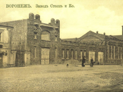 151 год назад в Воронеже открылся завод великого промышленника Вильгельма Столля