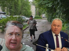 «Во двор зайдешь и можно упасть», - воронежцы дали оценку работе вице-спикера Олега Черкасова