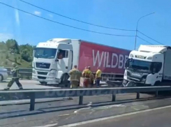 20-километровая пробка образовалась из-за ДТП с фурой Wildberries в Воронежской области 
