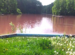 Кровавого цвета вода воронежского озера попала на видео