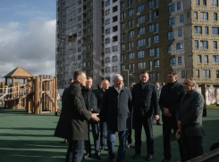 Опубликован эскиз будущего обновления набережной, где стоял воронежский приют «Дора»