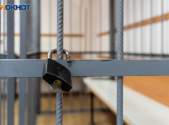 Трудоустройство бывшего госслужащего обернулось штрафом для гендиректора фирмы в Воронеже