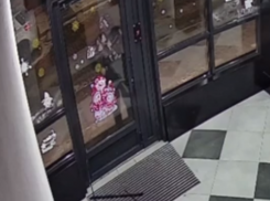 Настойчивого ночного вредителя сняли в Воронеже 