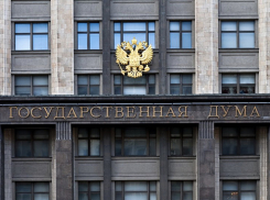 Не забывают ли новые законы о публичной власти и местном самоуправлении о Народе