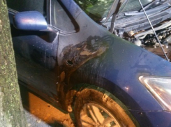 В Воронеже на Левом берегу сгорела «Toyota»