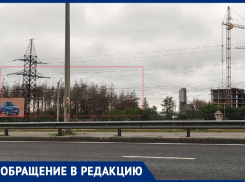 Пчелы против меда: воронежец призвал местные власти к борьбе со строительным «беспределом» 