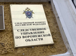 Из-за ЧП в воронежском батутном центре следователи возбудили уголовное дело