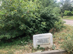 Памятник невыполненным обещаниям нашли в Воронеже