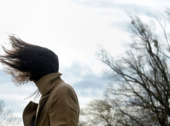 В Воронеже объявлен желтый уровень опасности из-за сильного ветра