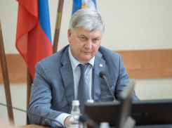 «Нас пытаются поставить на колени»: губернатор Гусев прокомментировал санкции против России