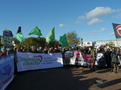 Воронежские зоозащитники выйдут на пикет «Животные – не одежда»