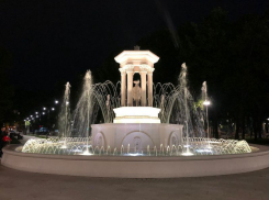 Полмиллиона рублей украли на скандальной реконструкции «Орленка» в Воронеже