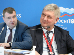 Кустовщина какая-то: чудеса математики происходят с инвестициями в Воронежской области