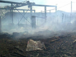 В Воронежской области пилорама сгорела из-за нарушения пожарной безопасности
