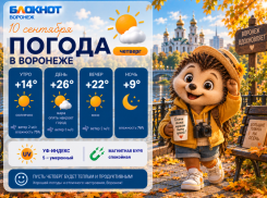Погода не перестаёт удивлять: прогноз погоды в Воронеже