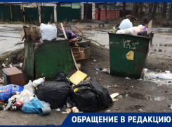 Помойное зверство лишило воронежцев нормальной жизни