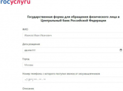 О мошенничестве через фальшивые «Госуслуги» предупредили воронежцев
