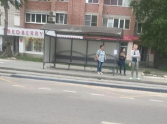 Убогая остановка исчезла после критики воронежцев