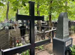 Воронежская область обогнала Москву и регионы по вымиранию населения