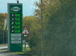 «Цены летят в космос»: шокирующий ценник на заправке сфотографировал воронежец  