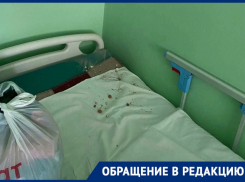 О падении штукатурки на голову пациентке сообщили в Воронеже