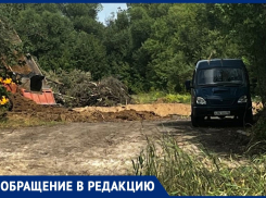 О беспощадной вырубке деревьев на берегу Усманки рассказали воронежцы