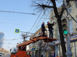 Деградирующие деревья спилили на проспекте Революции в Воронеже