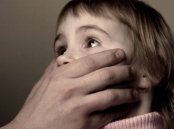 Воронежского педофила приговорили к 14 годам строгого режима