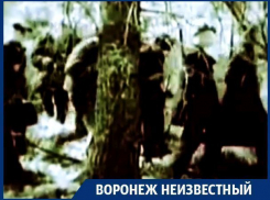 Воронежские партизаны били фашистскую заразу в ее же тылу