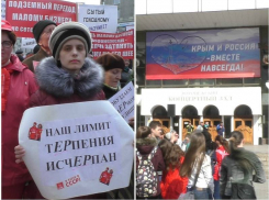 Лёд и пламень Дня «Крымской весны» в Воронеже