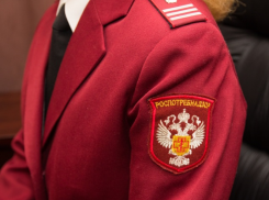 Бардак с проверками бизнеса ударил по Роспотребнадзору в Воронеже