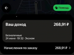 Воронежские таксисты недовольны заработком в условиях топливного кризиса