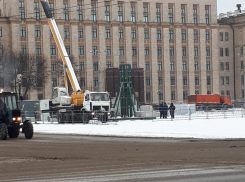 В Воронеже начали устанавливать главную новогоднюю елку