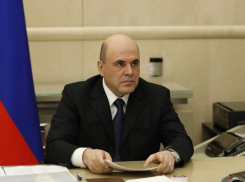 Премьер-министр Мишустин отдал две воронежские больницы под борьбу с COVID-19