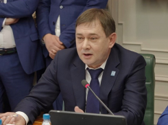 Главный воронежский единоросс Владимир Нетёсов поразил красноречием Совет Федерации