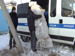 Воронежец вырастил 15 килограммов конопли на зиму 