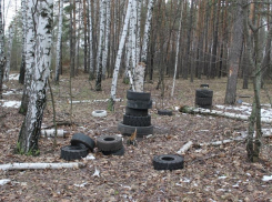 «Зеленый щит» Воронежа утопает в строительном мусоре 