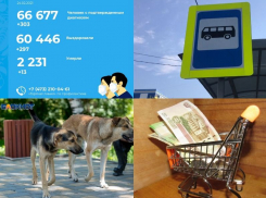 Коронавирус в Воронеже 24 февраля: 13 смертей, пытка маршрутками и сокращение госдолга