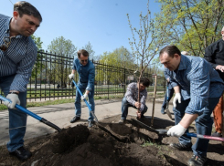 В Воронежской академии искусств Алексей Гордеев сажал вишни