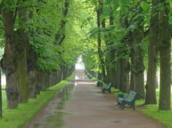 «РВК-Воронеж» будет заниматься благоустройством территории сразу после проведения ремонтных работ