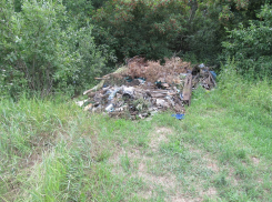 На трех землях «Воронежского» заказника обнаружены незаконные свалки